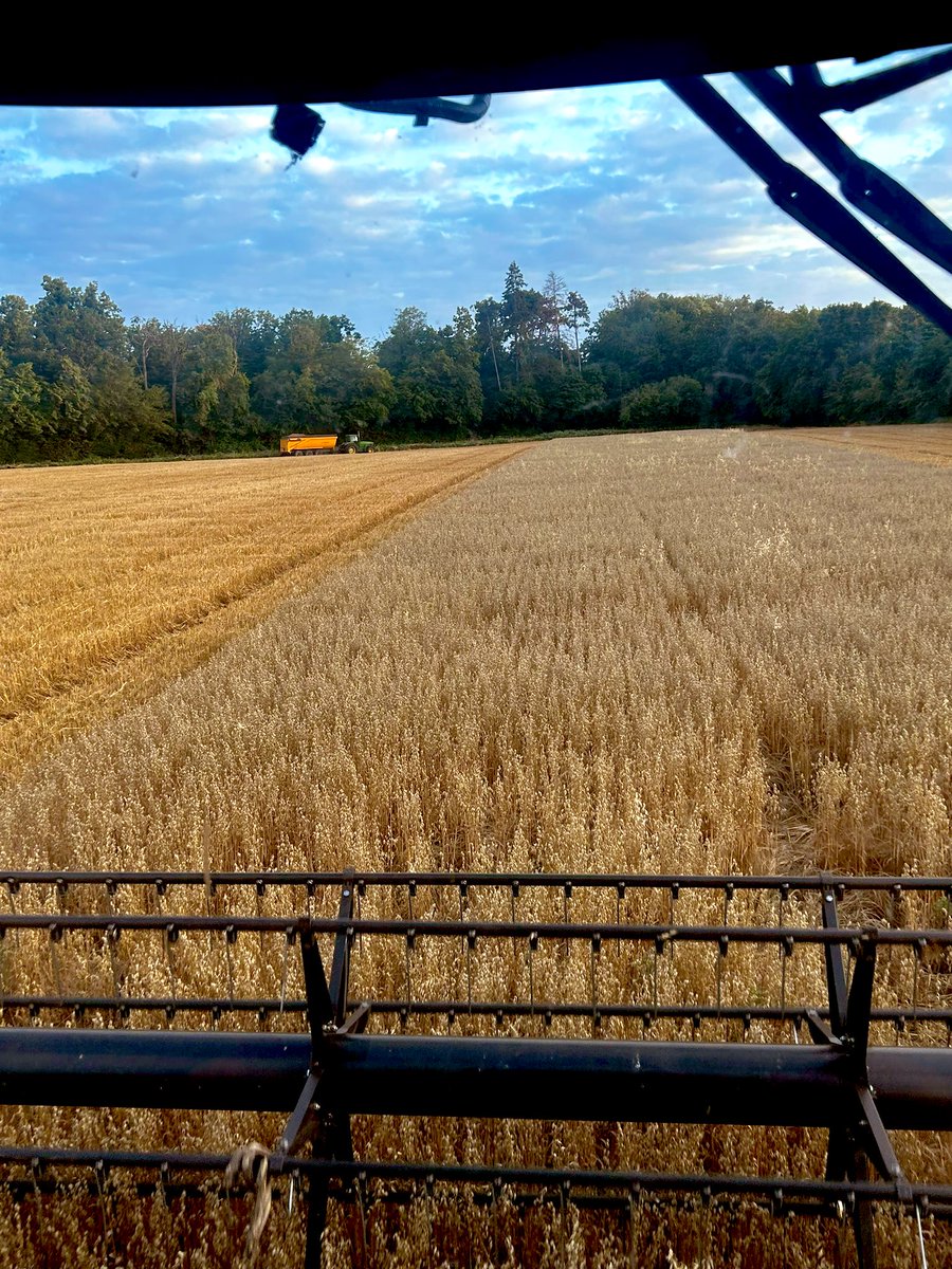 lutignier's tweet photo. Récolte de l’avoine d’hiver @ragtseedsuk Black Harras. Rien en intrant et ça crache toujours. Et très bon précédent! @JohnDeere @FieldViewFrance https://t.co/kcIf1psiqt