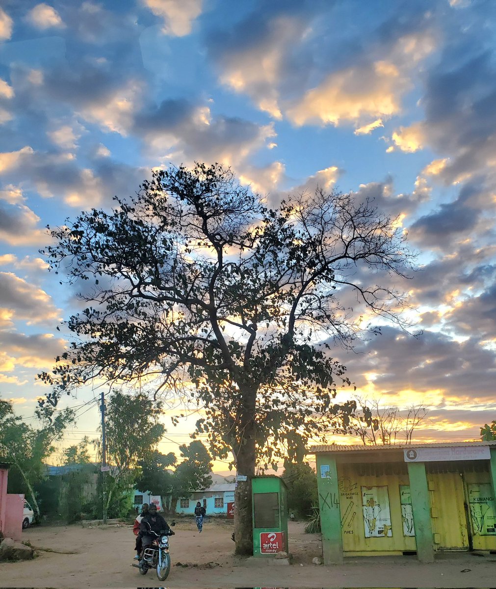 I love the Malawian sky, after all. Always beautiful!
やっぱりマラウイの空が好きです。いつ見ても美しい。
#malawian #malawiansky #beautifulsky #beautiful #sky #blantyre
#malawi #africa  #beautifulmalawi #beautifulafrica #空が好き #美しい空 #マラウイ #ブランタイヤ #アフリカ
