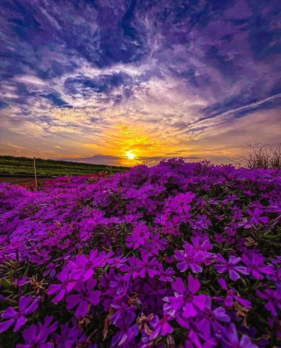 صبَاح الخير بكُل الطُّرق التي يُمكن أن تُوصل البهجه لقلوبكم صباح السَّلام والكثير من الخير والنُّور يارب🌤

#صباح_الخير_والسعاده_للجميع #حادث_مدينتي