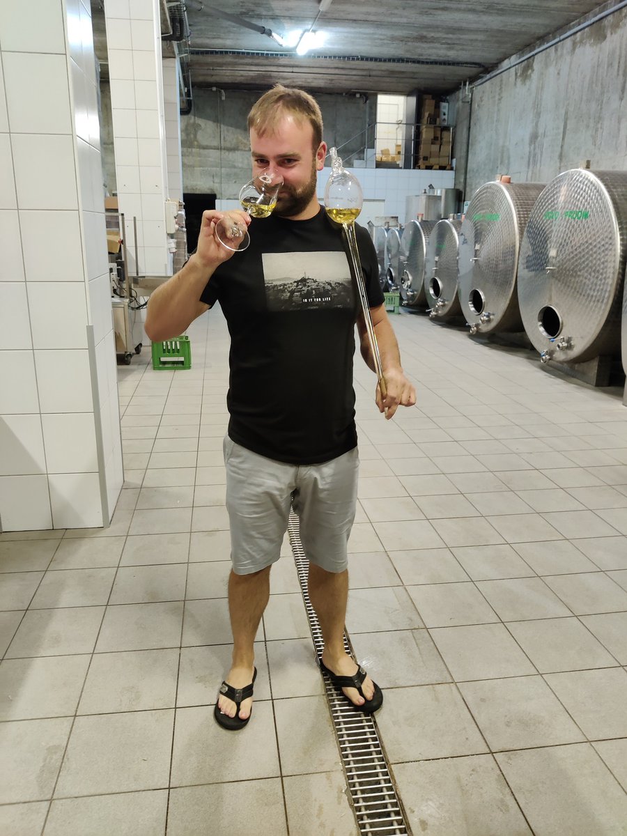 mikulasduda's tweet photo. Víkend na Moravě a tři báječná zastavení ve vinařstvích Vinařství Škrobák, Vinařství Novotný Bílek a Vinařství Ilias. Více na blogu: https://t.co/eHVjpKL2bx https://t.co/jZyKWoYHh3