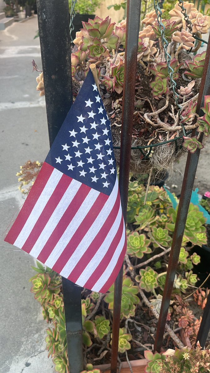 shayan_speaks's tweet photo. Happy Independence Day America 🇺🇸 ❤️

The country which saved my life in 2019 when I came from Pakistan 🇵🇰

#4thofJuly https://t.co/xqfYZhLiPH
