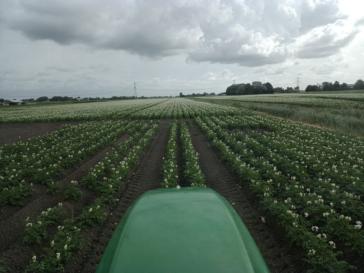 Voor niet beregend (smal strookje naast woning)
Achter wel beregend
#innovator