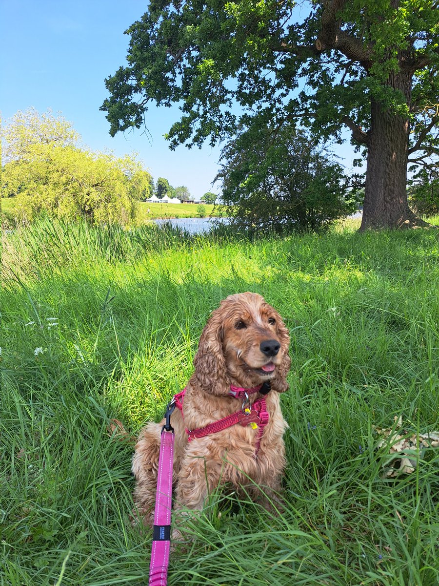 Happy tongue out Tuesday from both of us #tongueouttuesday