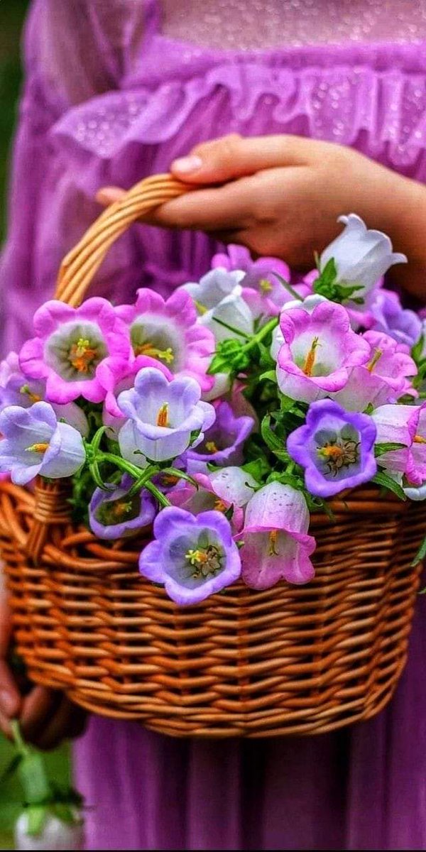 Küsme!
Düne, bugüne, yarına...

Gülümse!
Sabaha, insana, aşka...

Tutun!
Şiire,  şarkıya, kitaba...

Hadi dön yüzünü!
Güneşe, ......
        ____^  Gツnaydın☕️🦋🍫