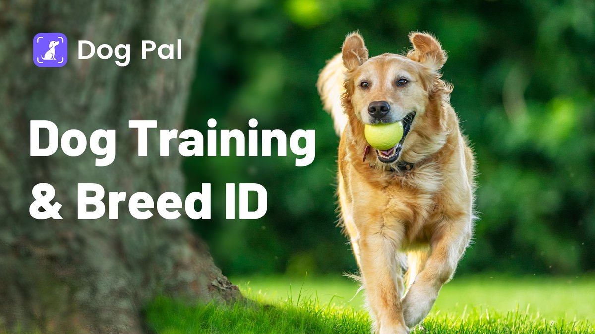 Dog Pal tweet media