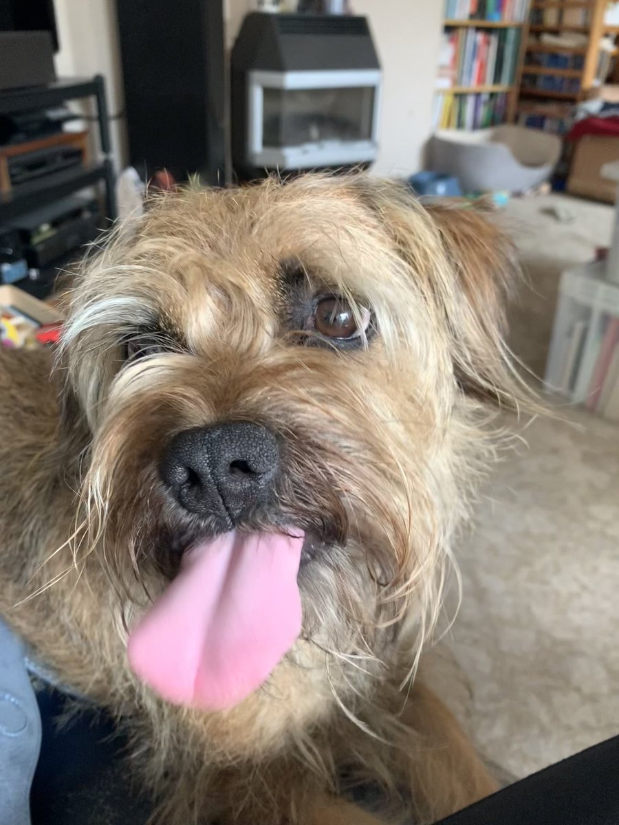 HendrixBT's tweet image. Mornin Boots mornin all. Enjoy #tot #dolcelatte