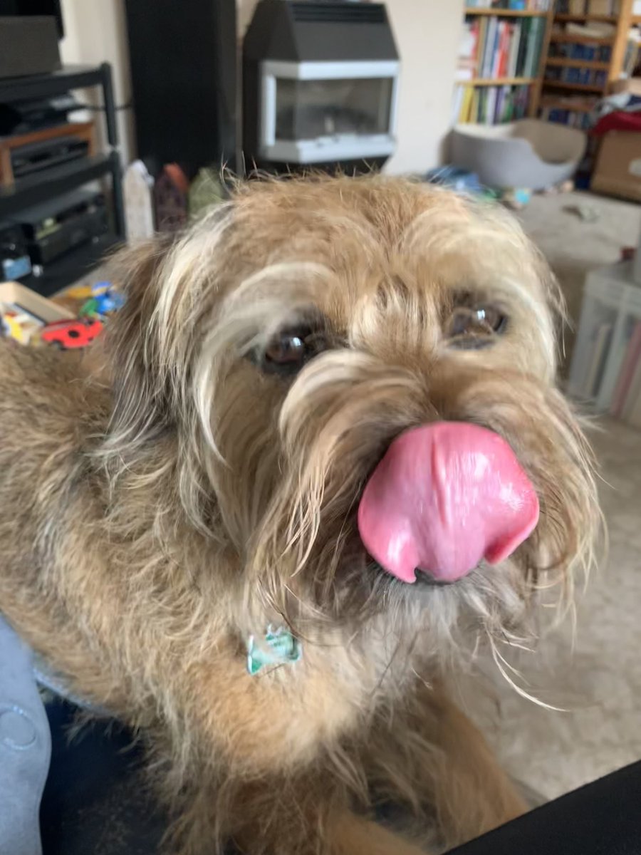 HendrixBT's tweet image. Mornin Boots mornin all. Enjoy #tot #dolcelatte