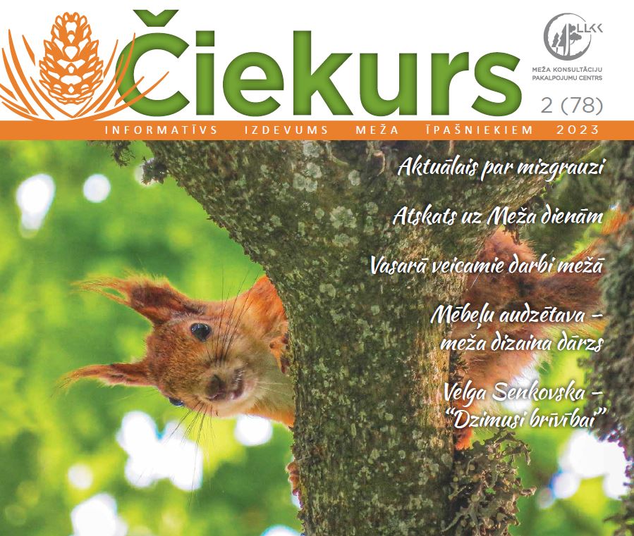 MKPC_LLKC's tweet photo. Esi informēts par aktuālo, smelies idejas un iedvesmu – ieskaties jaunajā vasaras izdevumā “Čiekurs”: https://t.co/esrJvdlqck https://t.co/NZtEHq0x5M