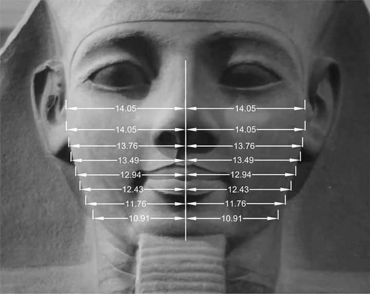 Archaeo - Histories tweet media