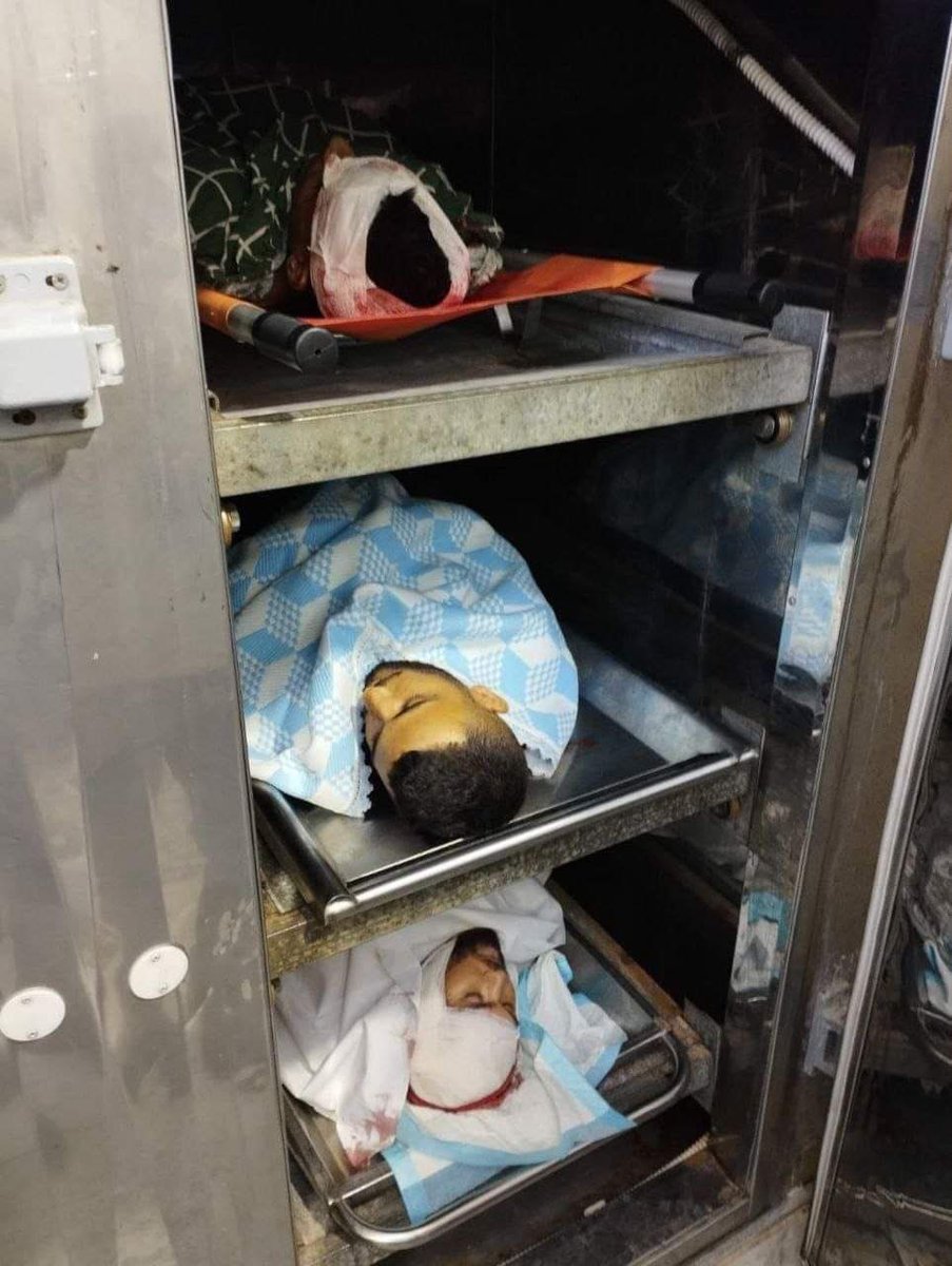 hiphipharesh's tweet photo. The bodies of the satellites of #Jenin, who died as a result of the continuous aggression of the occupation on Jenin.
#IsraelOccupation
#AbrahamAccordsViolations
#UselessTrump
#NoOneIsHeldAccountableWhenTrumpCanKeepCampaigningOnLies
@netanyahu is #FASCIST!
#FartherRightExtremism https://t.co/KutGsEW82l