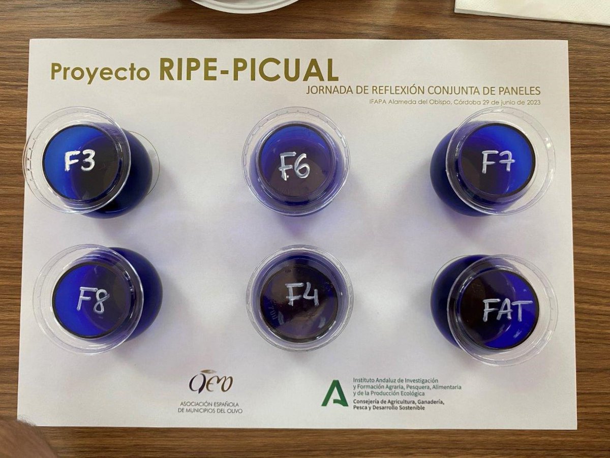 IfapaJunta's tweet photo. 🫒 Jornada de transferencia de #RipePicual, un proyecto del #IFAPA y @AEMO_Olivo que estudia la evolución del #AOVE de la variedad picual durante la maduración de fruto
Colaboran @institutograsa, @Univcordoba y el Laboratorio Agroalimentario de Córdoba
🗞️https://t.co/ZPSLrvq0Xn https://t.co/7xRXfdcp2w