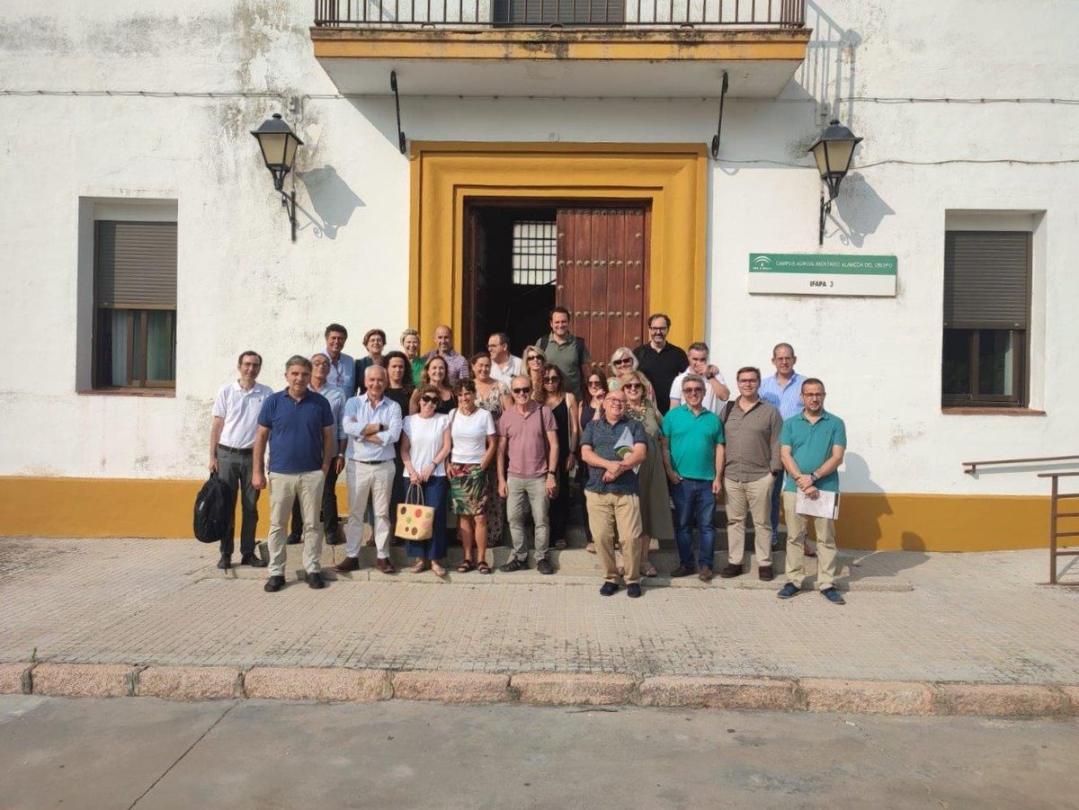 IfapaJunta's tweet photo. 🫒 Jornada de transferencia de #RipePicual, un proyecto del #IFAPA y @AEMO_Olivo que estudia la evolución del #AOVE de la variedad picual durante la maduración de fruto
Colaboran @institutograsa, @Univcordoba y el Laboratorio Agroalimentario de Córdoba
🗞️https://t.co/ZPSLrvq0Xn https://t.co/7xRXfdcp2w