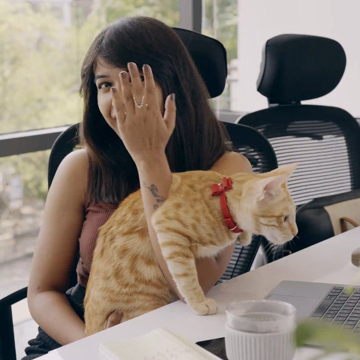 bluestone_com's tweet photo. Some emotional support sparkle to go with your emotional support animal at @bluestone_com? ๐ธ
#Caturday #BlueStoneAndMe https://t.co/dmMUebLFv9