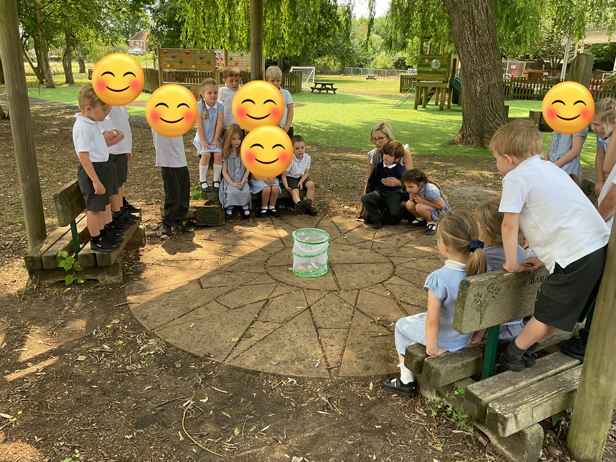 InfantWalsh's tweet photo. Silver Class released their class butterflies last week. We were captivated watching them develop from small caterpillars and then turn into chrysalis's. We fed them satsuma and apple and gave them sugary water to drink. It was an excellent way to learn about lifecycles. https://t.co/X4OnSYGPfB