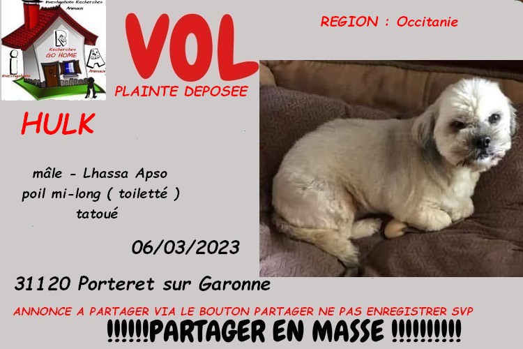 Kate23170's tweet image. merci de RT pour nous aider a retrouver HULK volé a Porteret sur Garonne 31120 le 06/03/2023 svp . si infos : 06.81.22.02.11

CONTACT FB : facebook.com/nathalie.masse…

ou MP à @Kate23170