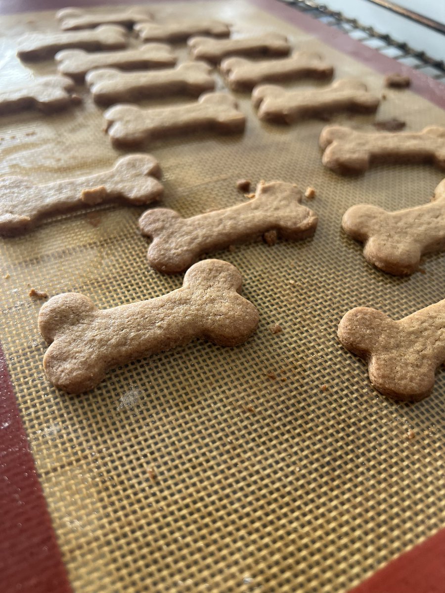 Coach Flint 🇳🇱 🔜 Darklands tweet media