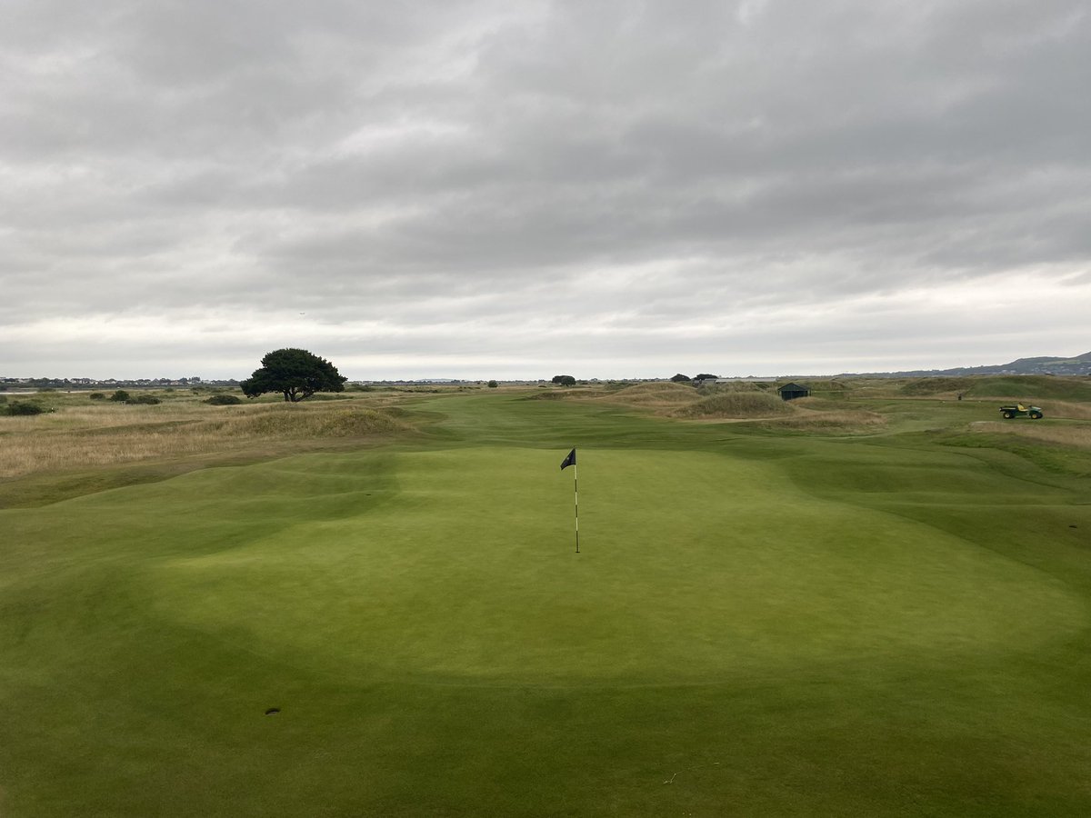 alanhammond_'s tweet photo. A cheeky little 1/2” of rain gives the irrigation system and the lads dragging hoses a few days off @Royaldublin1 @markchrisburke @RichieSHudson @dannybur_ @gerard_rowlands https://t.co/RNVbKWnKQW