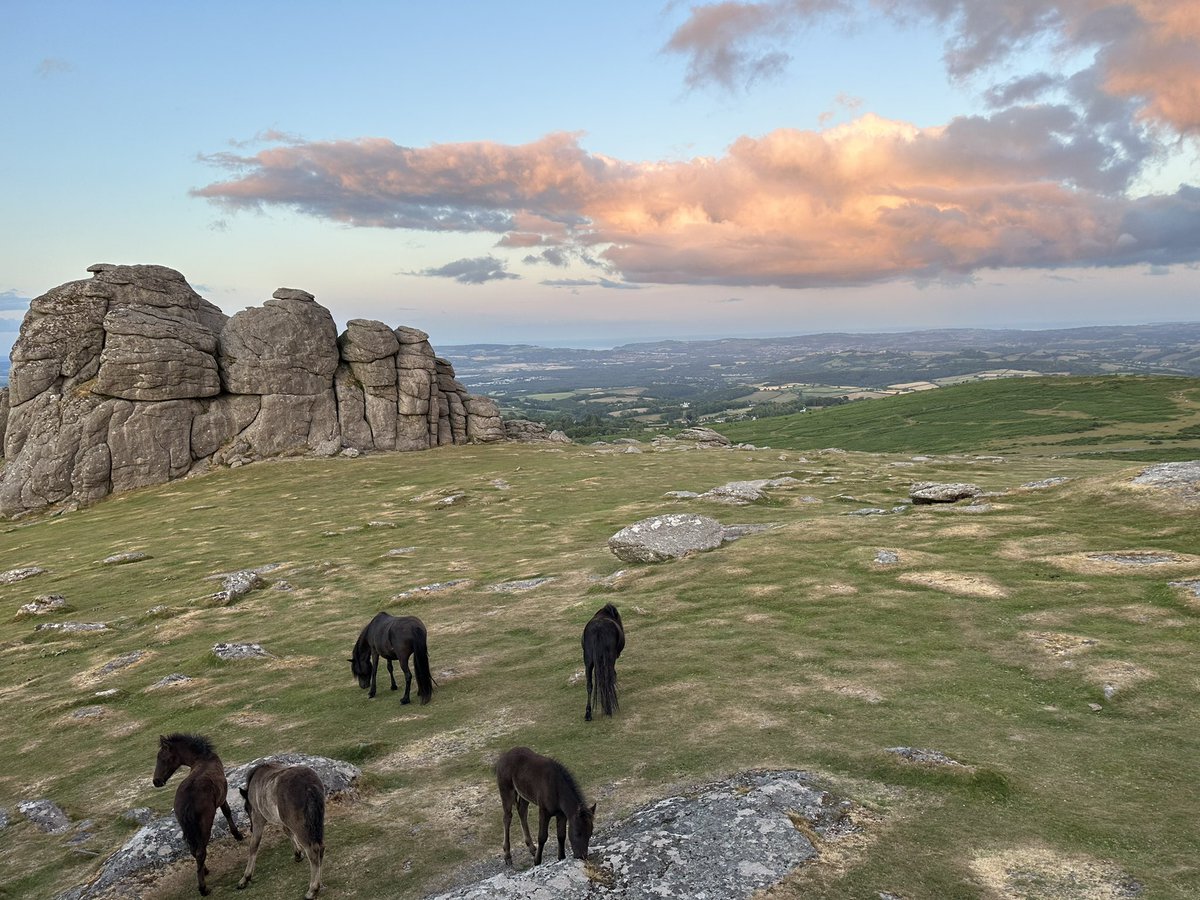 Great weekend exploring the moors in Dartmoor. Picturesque landscape, we made some new friends along the walk too…🐴
#dartmoor #devon #landscape #widecombeinthemoor #horses #photography #dartmoornationalpark