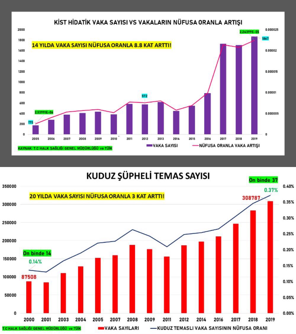 VERİ YALAN SÖYLEMEZ‼️

Modern ülkeler politikalarını veri temelli geliştirir. Aşağıdaki iki grafik size başıboş köpek kaynaklı iki büyük halk sağlığı sorunu olan “Kist Hidatik” ve “Kuduz Şüpheli Temas Sayısı”nın yıllara göre değişimini göstermektedir.

👉Kuduz Şüpheli Temas