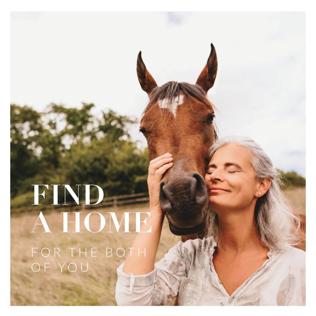 Are you looking for a dream home that accommodates your four-legged friends?🐴

Register your details, and we'll keep a keen eye out for properties with equestrian facilities. We'll help you find the perfect haven for you and your horses.  #HorseLovers #EquestrianProperties