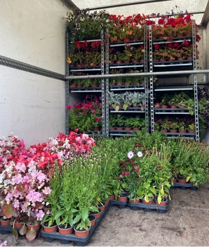 @HMYOIFeltham tweet media