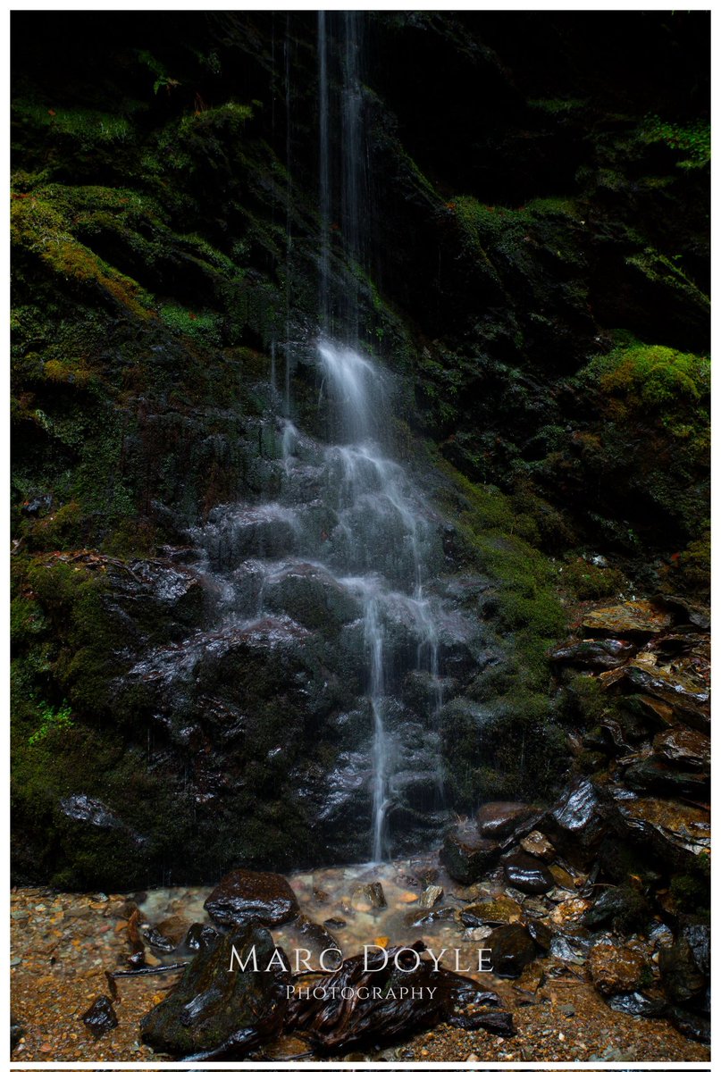 Little waterfall in Puck's Glen, Dunoon.

#pucksglen #waterfall #scotland #landscapephotography #canonuk #6dmkii