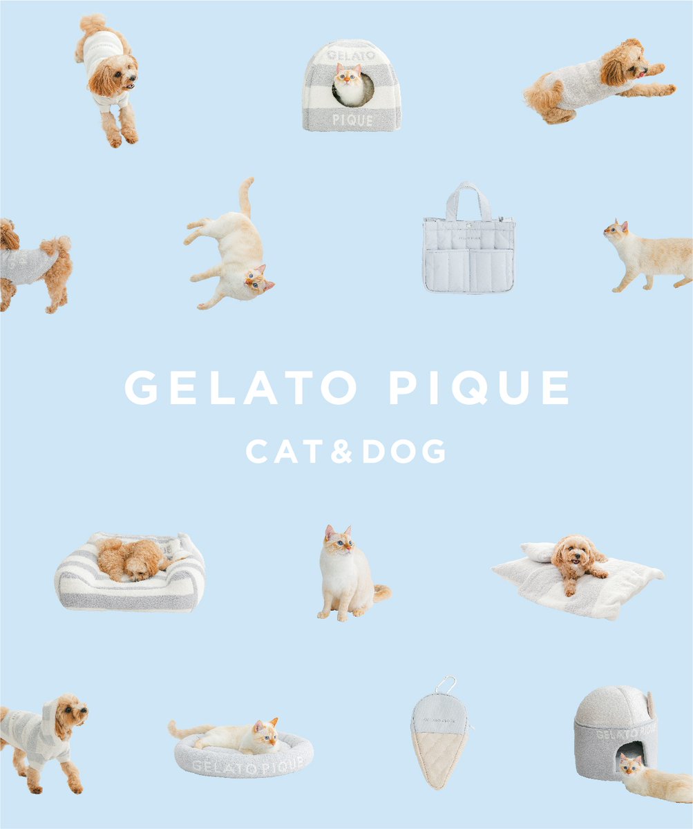 ジェラートピケ CAT＆DOGライン初のブランドブックの発売が決定！ねこ