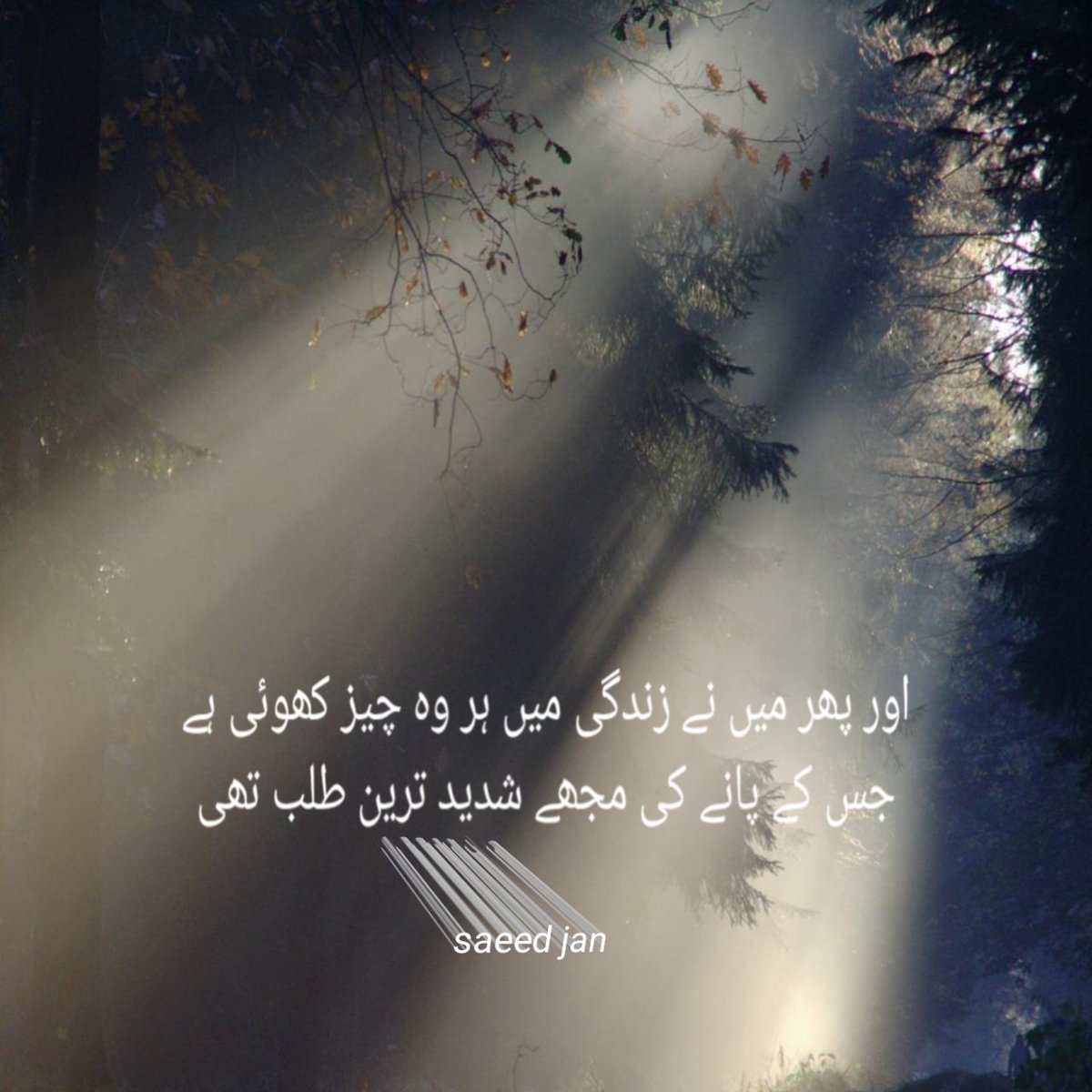 saeedjan714's tweet photo. https://t.co/qGv6Is0WLJ