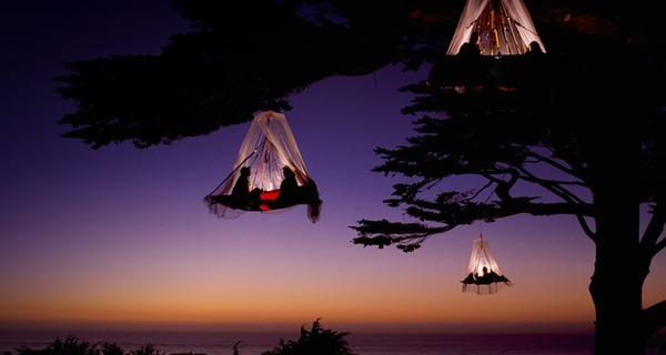 balanceinstyle's tweet photo. Tree Camping, Elk, California #TreeCamping #Elk #California https://t.co/cy6gS10AEn https://t.co/q8nwzzd10P