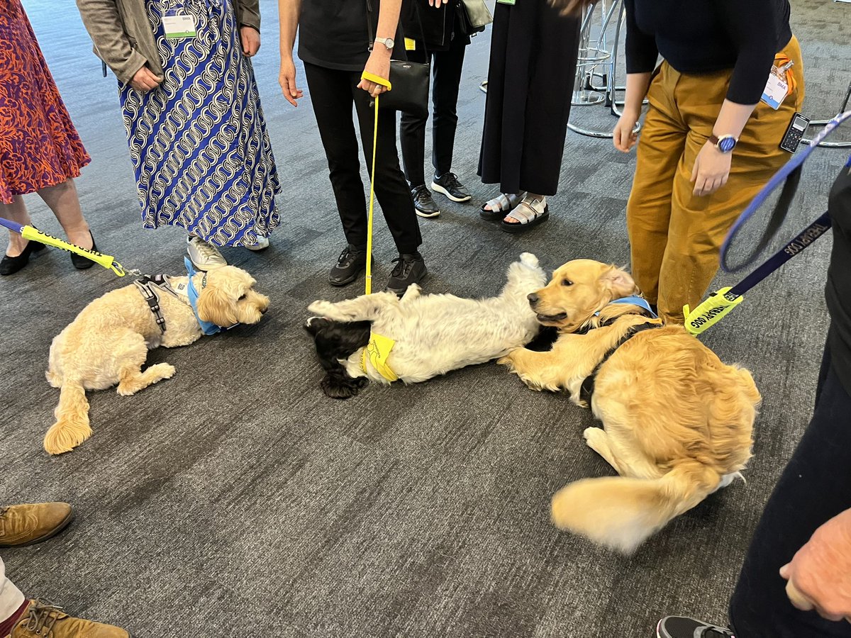 Therapy dogs at #ARM2023😭much needed especially as debates can get really difficult and triggering
#Dogtors