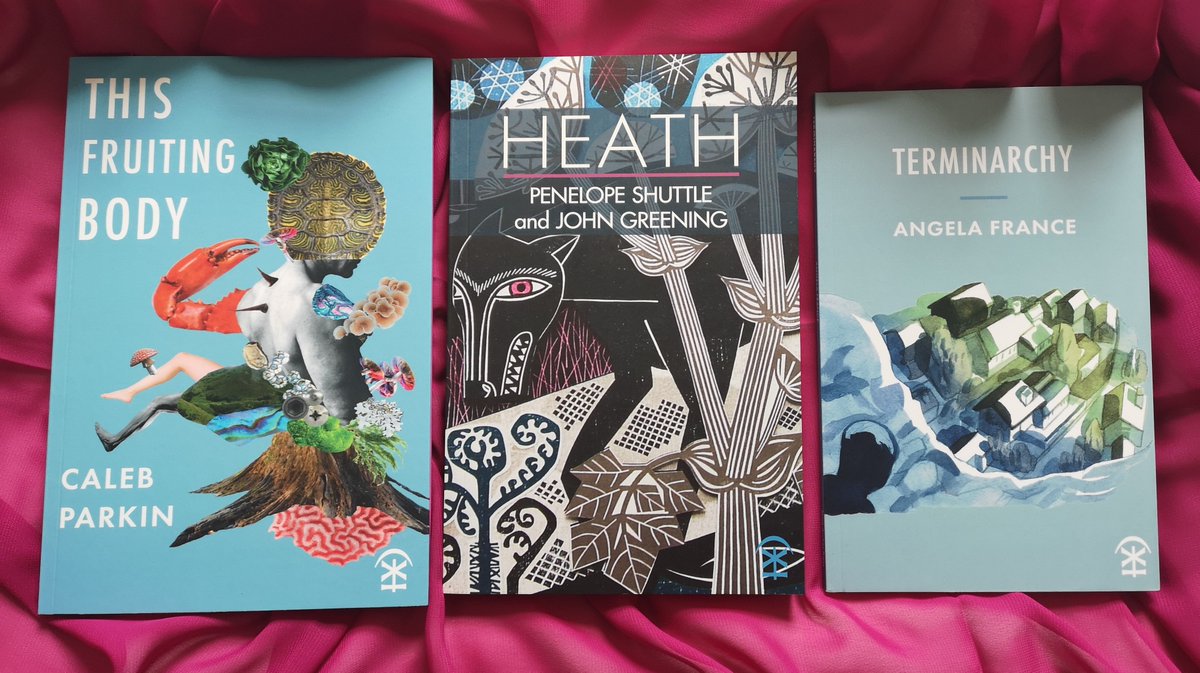 Nature & Eco-poetics: another one of our curated #poetry trios for our 15th birthday is this stunning selection of 3 books for £15, featuring titles by @CalebParkin, @ShuttlePenelope @GreeningPoet and @AngelasFollies 📚 buff.ly/3zEinCy