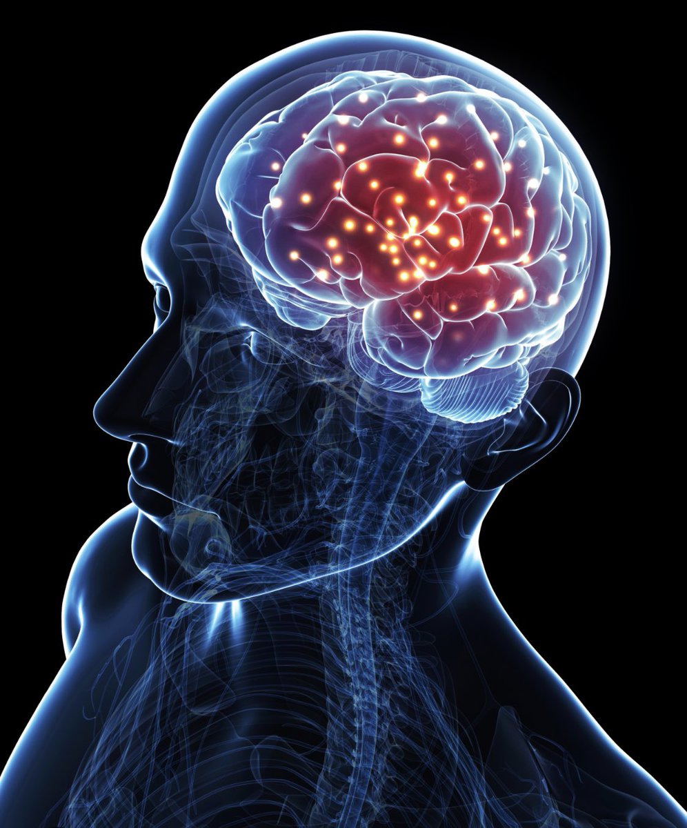 "Brain is cheap labour"

Quote by:
-- Christen Ager-Hanssen

P.S. Hi IQ 🧠 is simply not good enough. You need so many more skillset to succeed