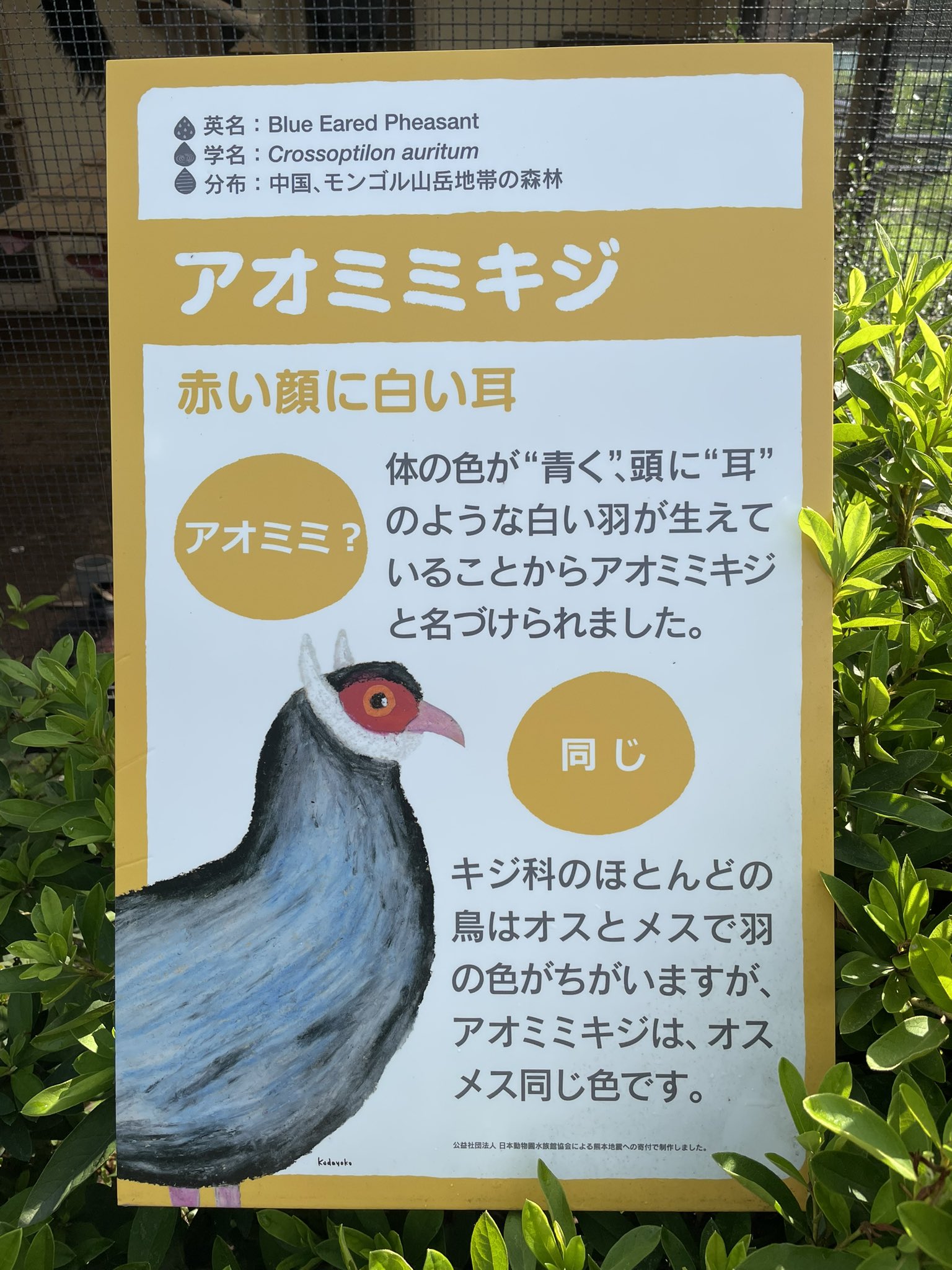 熊本市動植物園(公式) on Twitter 