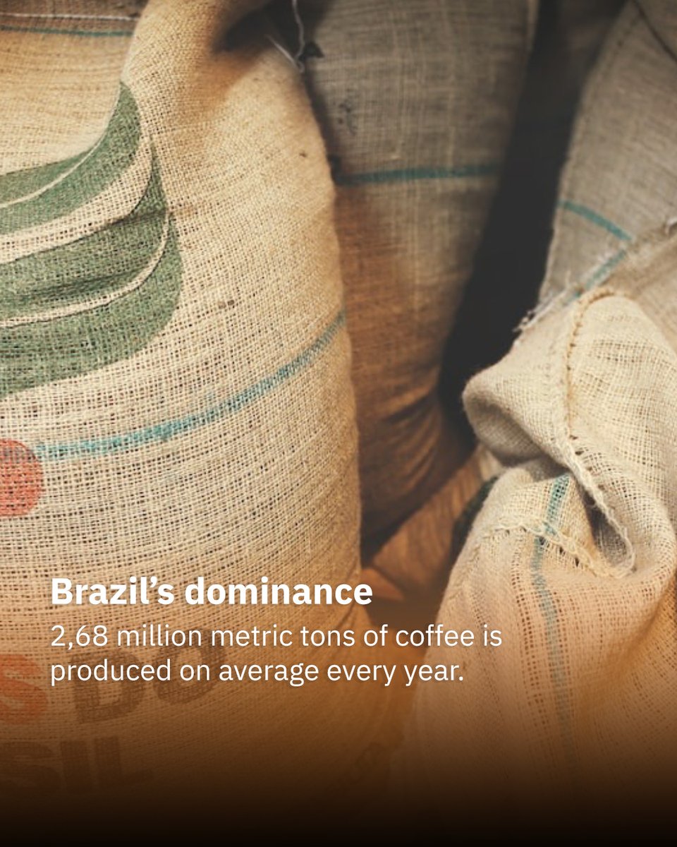 ShazeIndia's tweet photo. There are about 120 varieties of coffee plants in the world. It's a universe of stories, fascinating origins, and facts that never cease to amaze readers!

Welcome to hosting with Shazé.
Know more- https://t.co/6NjmKV6H8i

#shaze #hosting #experiences #frenchpress #coffee https://t.co/iue4304GWt