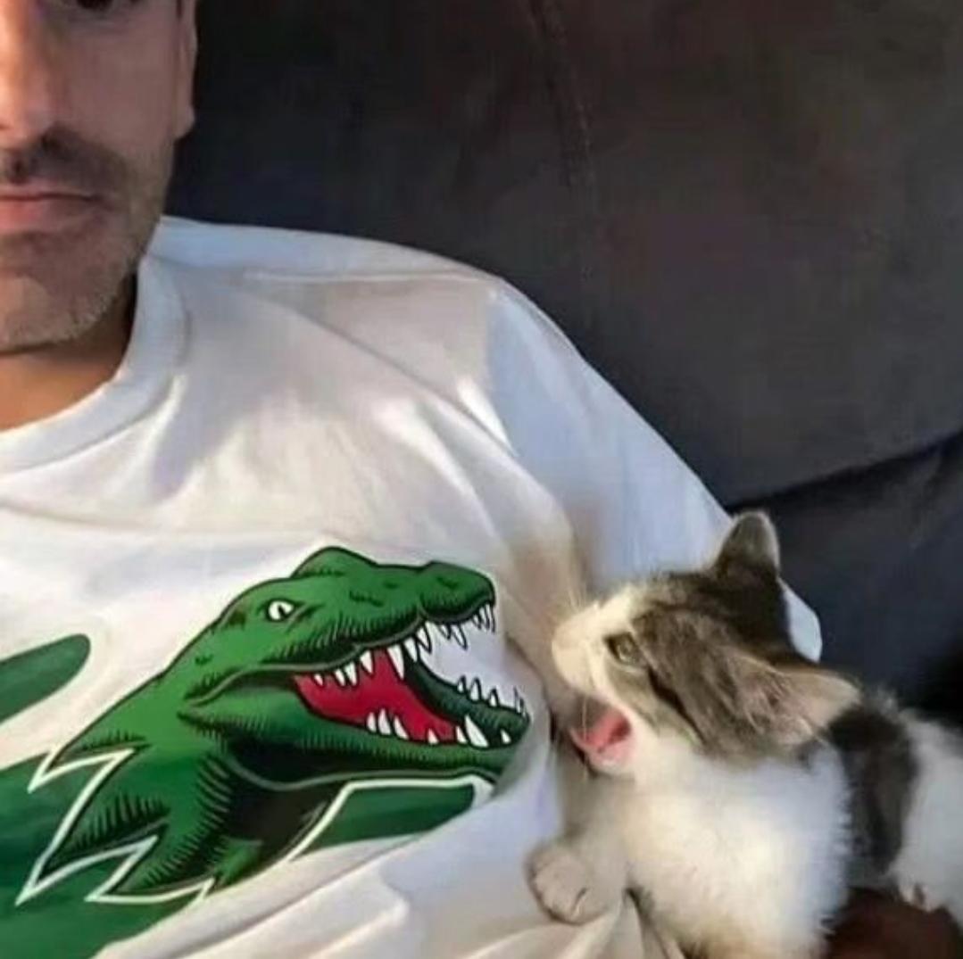 codesmi1's tweet image. pOor KitTy GETS dEvoUReD By HUNgRY crOCOdile