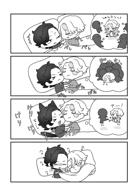 毎晩 ココイヌ 
