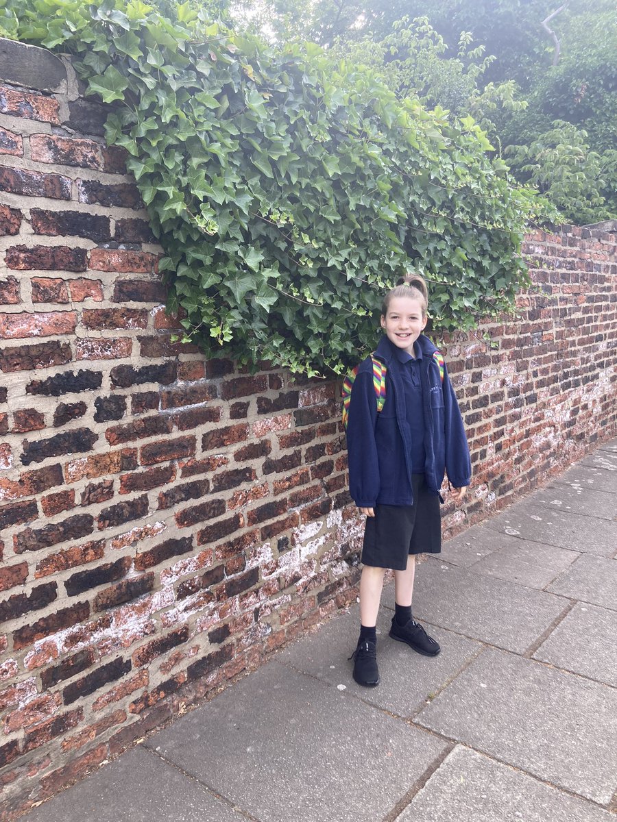 splasha30's tweet photo. @SpringvalePS Fe was lonely and nervous this morning but walked in happy and confident 😁 https://t.co/Dw7aVCl4Rb