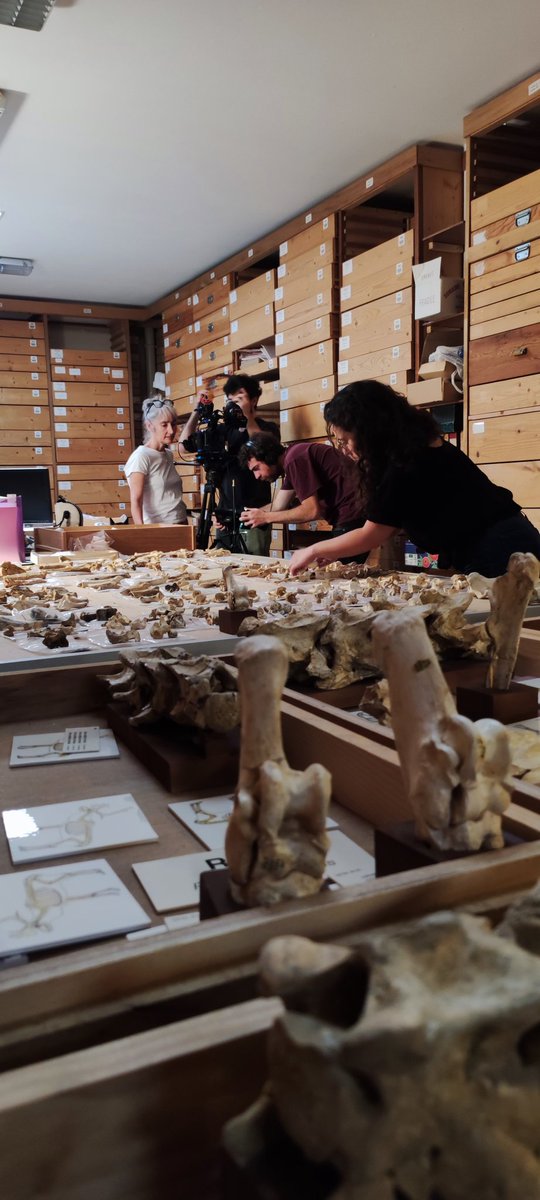 MuseedeTautavel's tweet photo. Top départ pour une nouvelle semaine de tournage pour les équipes de @emmabaus66 dans le cadre du documentaire pour #france5 #sciencegrandformat
#pyreneesorientales #occitanie #tautavel #documentaire #perpignanmediterranee #primetime_ #prehistoire #archeologie https://t.co/p7PpKtDQyR