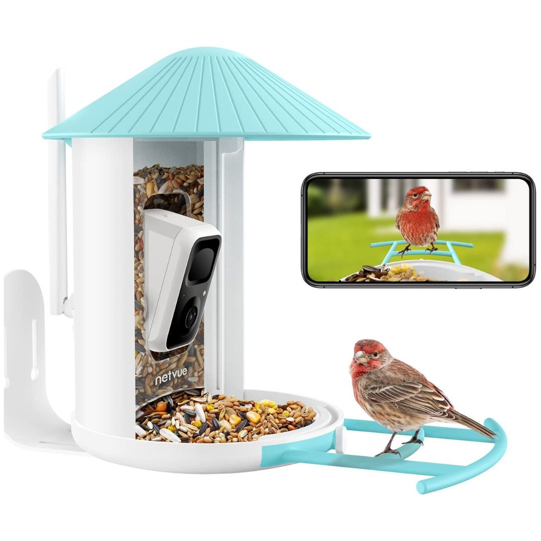 MartinCormican's tweet photo. I'm running a competition on my Instagram feed. You could win your very own Netvue Birdfy Feeder. Click on the link below and check out the pinned post. 

@martinsbirdwatch Competition link. 

￼

￼

￼

https://t.co/gmnAysGGxC

￼

￼

￼

#win #competition #GiveawayAlert https://t.co/KtOqCwMeFp