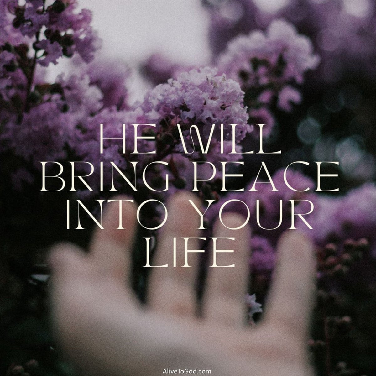 AdagneNw's tweet photo. True Peace Only comes from the Lord our Father God Amen. https://t.co/Sf4OBlZY5x