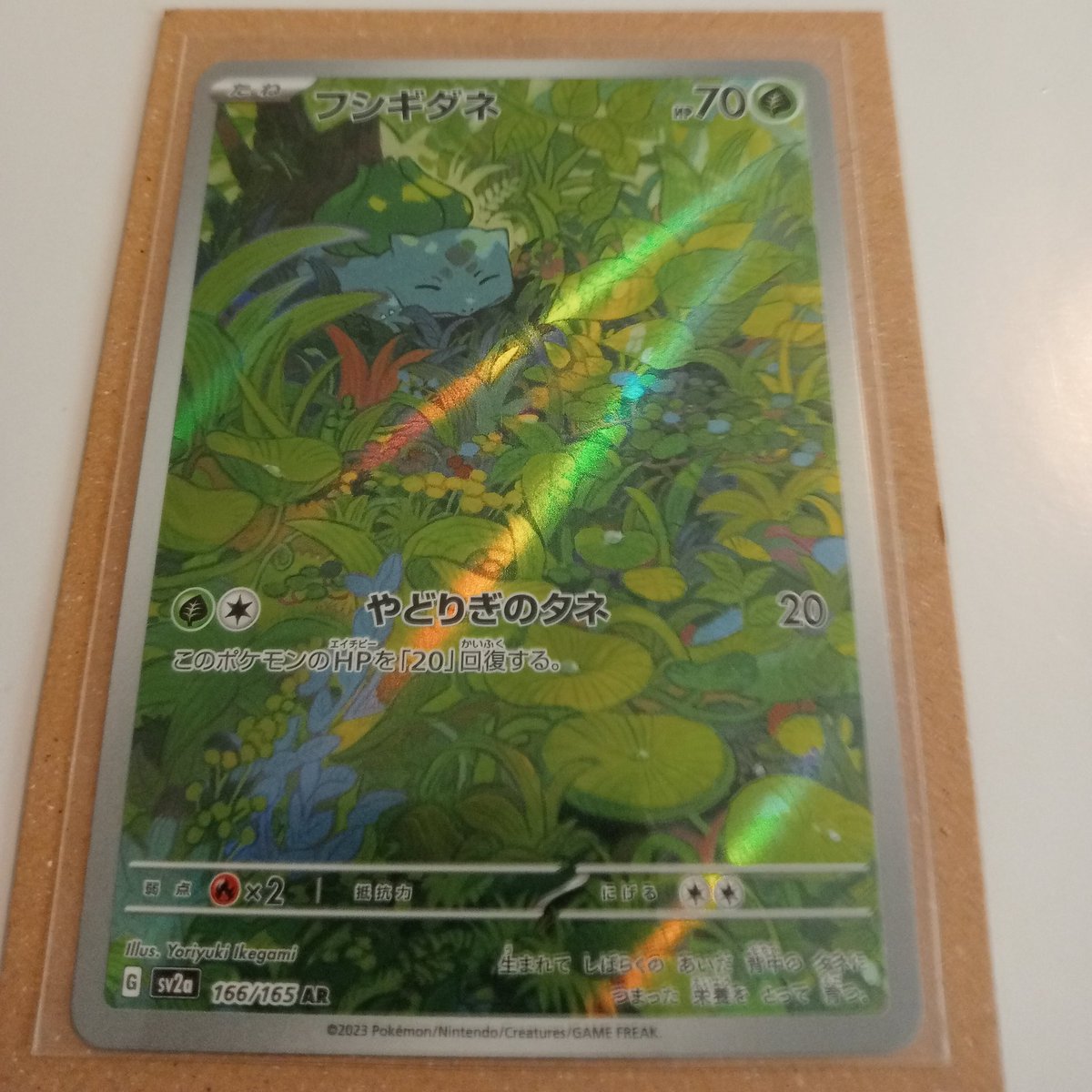 Just got this new Bulbasaur from Japan! The new SV 151 cards are truly awesome!
#Pokemon 
#PokemonTCG 
#bulbasaur 
#Pokemon151 
#gottacatchemall