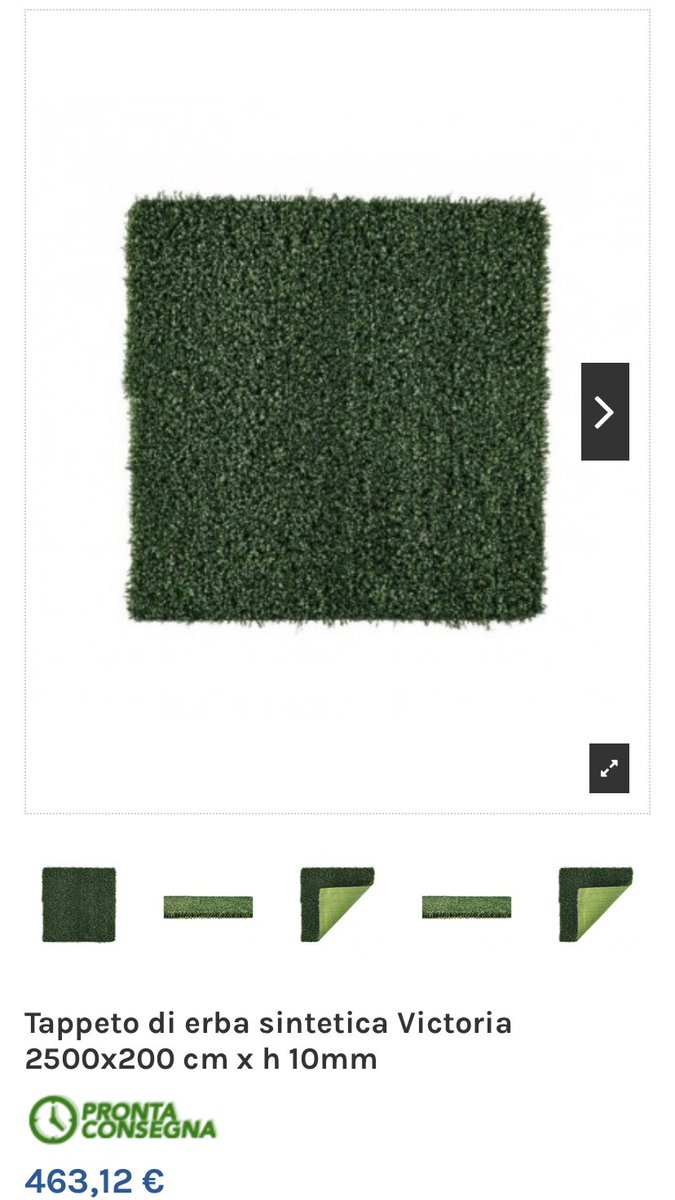 calos.day tweet media