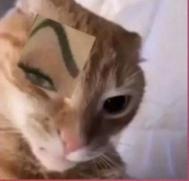 Mengapa NSA itu dihapus? <a href="/scarletuous/">!</a>