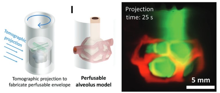 Readily3D (@readily3d) on Twitter photo Check out this new comprehensive work led by <a href="/ZenobiWongLab/">Marcy Zenobi-Wong</a> featuring our Tomolite volumetric 3D printer for the generation of multi-material perfusable constructs and auxetic meshes!
onlinelibrary.wiley.com/doi/epdf/10.10… Check out this new comprehensive work led by <a href="/ZenobiWongLab/">Marcy Zenobi-Wong</a> featuring our Tomolite volumetric 3D printer for the generation of multi-material perfusable constructs and auxetic meshes!
onlinelibrary.wiley.com/doi/epdf/10.10…