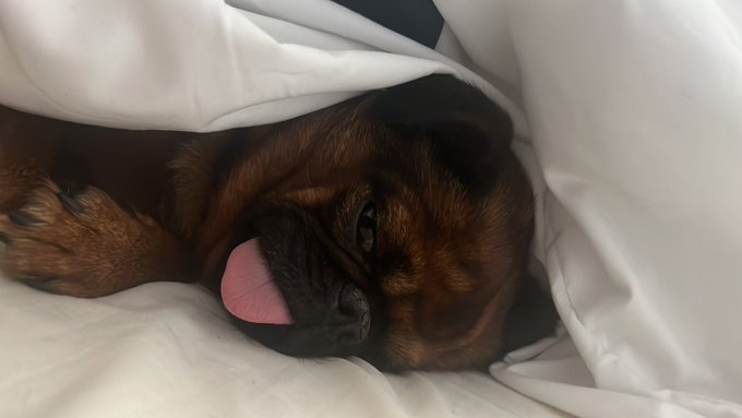 Morning x https://t.co/DRNxp3MuSo