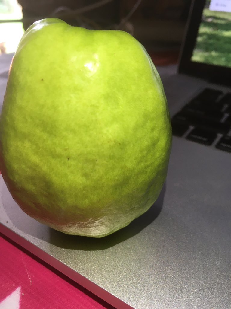 santoshdevi72's tweet image. Again #firstfruit