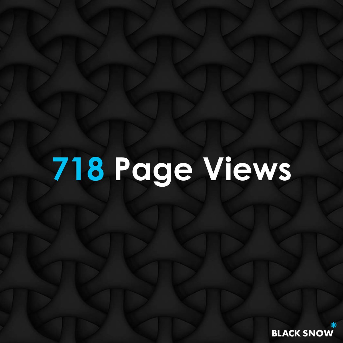 Black Snow Agency tweet media