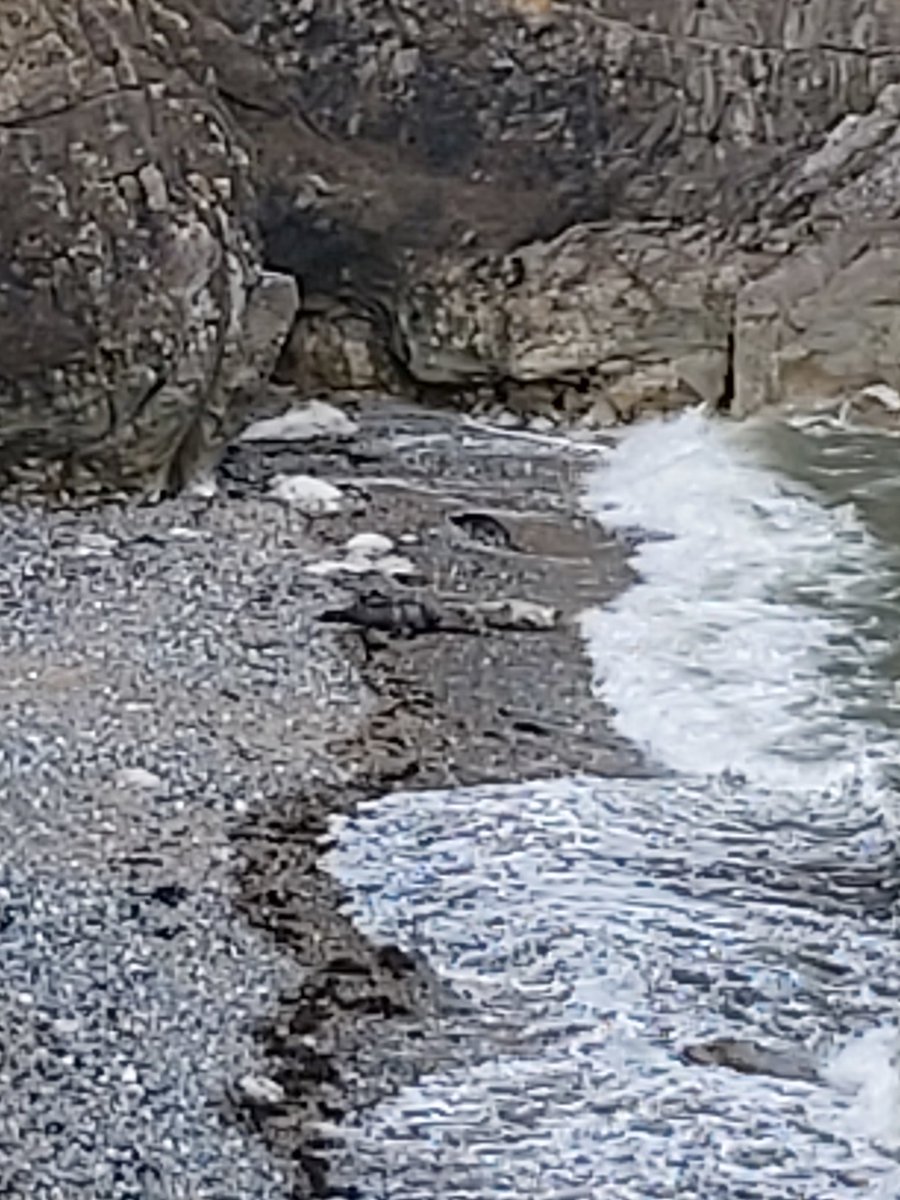 rebeccaBug's tweet image. Favourite church to have a meeting at today as get the time to go and pray with the seals first.
#thinplace