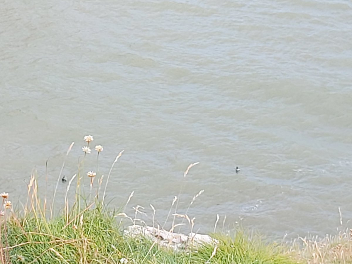 rebeccaBug's tweet image. Favourite church to have a meeting at today as get the time to go and pray with the seals first.
#thinplace