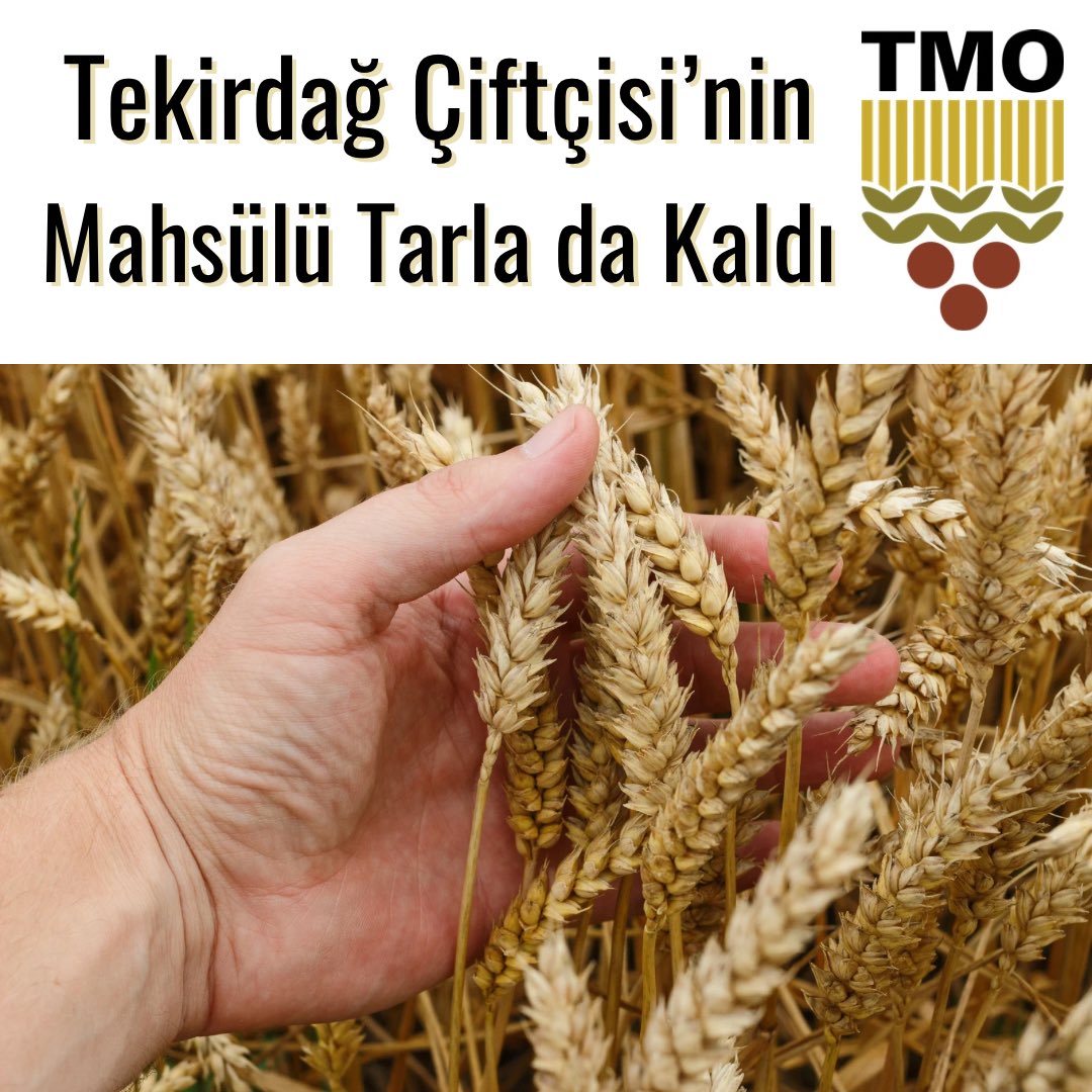 Tekirdağ tweet media